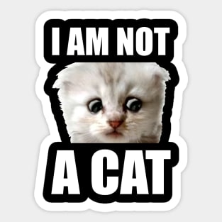 I Am Not A Cat Sticker